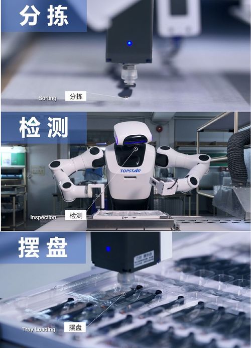 硬核實力鑄就卓越，小拓榮膺高工機器人金球獎年度產品獎